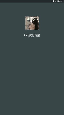 king优化框架(图2)