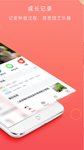 花信(图2)