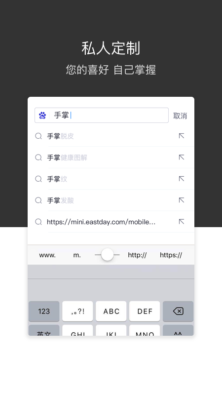 绿叶浏览器(图1)